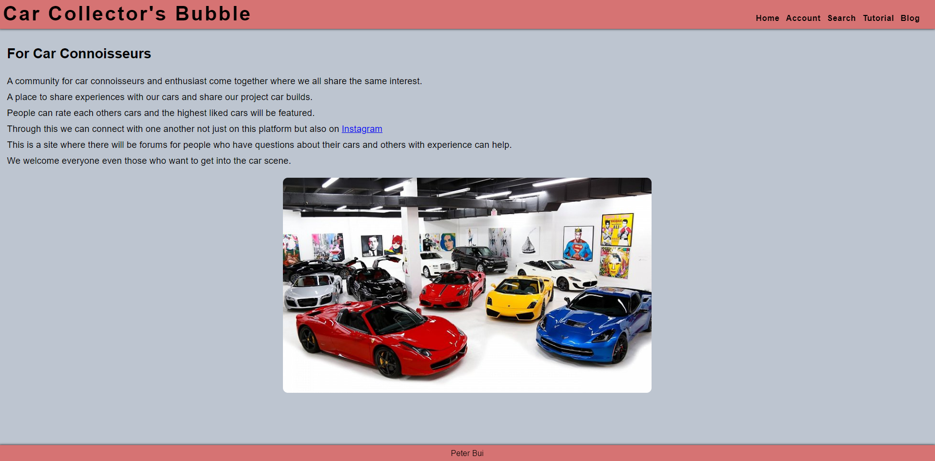 Car Collectors Bubble
